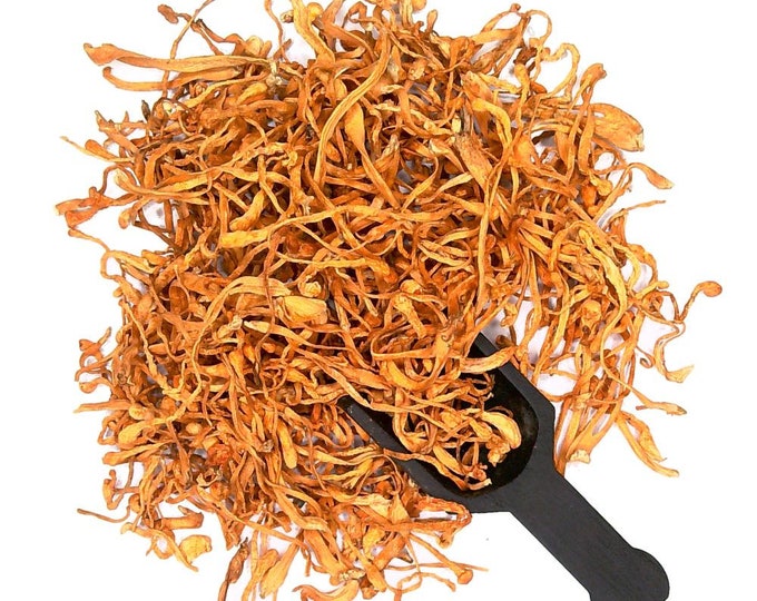 Cordyceps Militaris Dried Fruit Bodies Grown in USA - Etsy