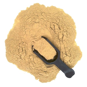 Hoodia Gordonii 20:1 Extract Powder | 4oz to 5lb | 100% Pure Natural Hand Crafted