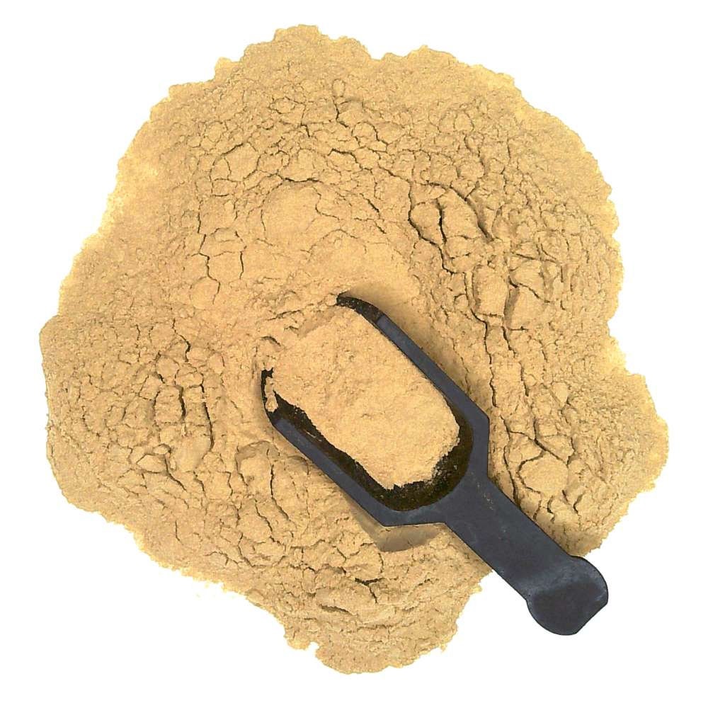 Hoodia Gordonii 20:1 Extract Powder | 4oz to 5lb | 100% Pure Natural Hand Crafted