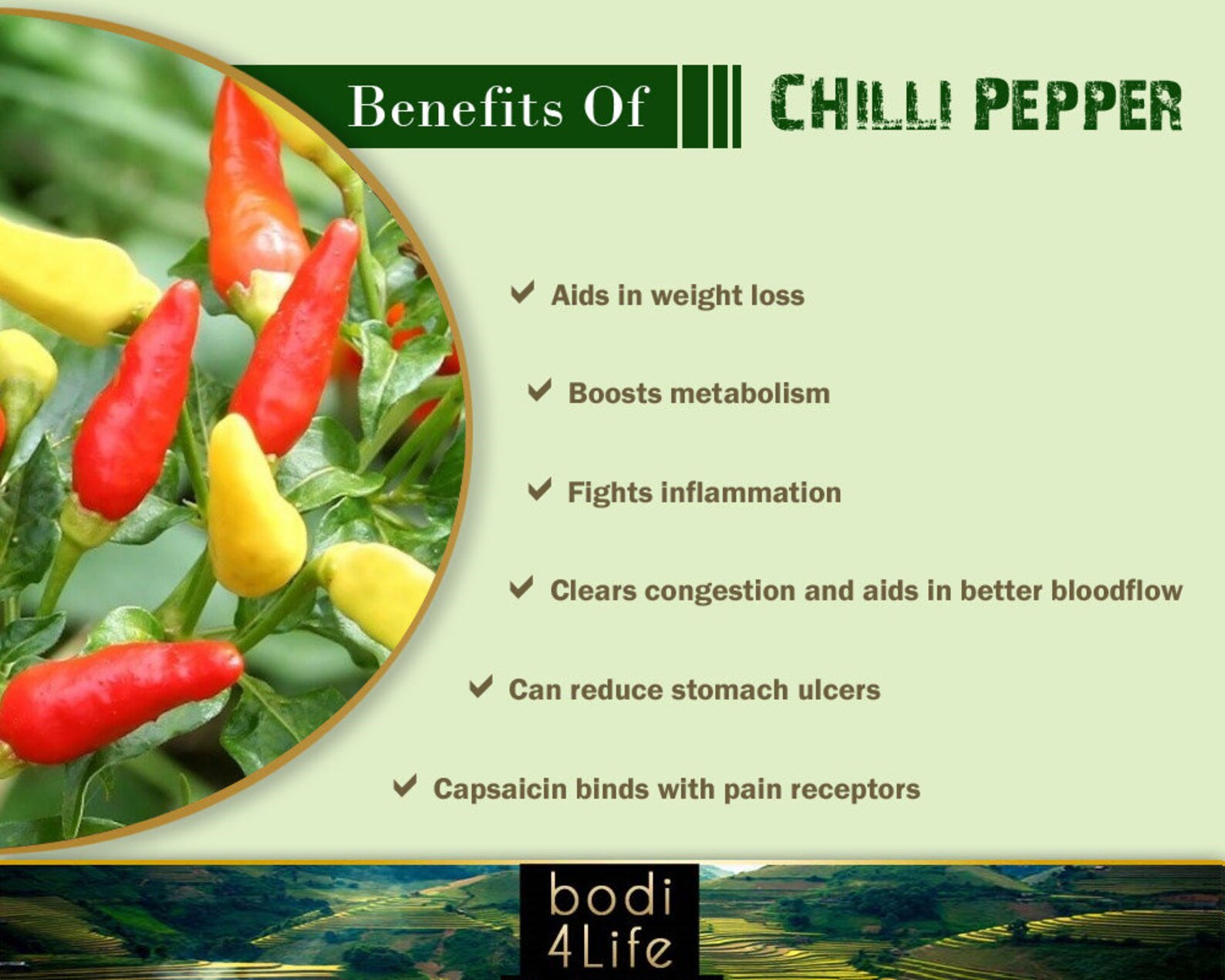 Chilli Pepper Powder 100 Pure Natural Chemical Free 4oz Etsy