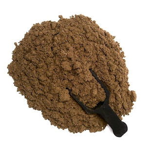 Organic Mushroom Blend Powder - Etsy Canada