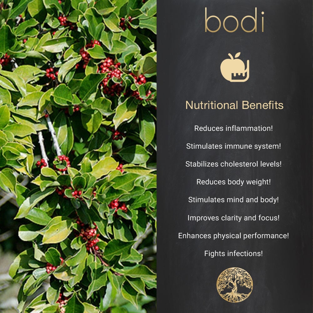 Yerba Mate Leaf 101 Extract Powder 4oz to 5lb 100 Pure Etsy