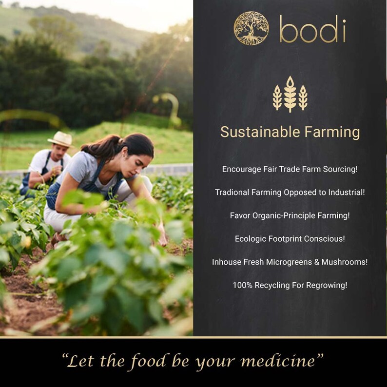 May include: Two people are working in a garden. The text on the black chalkboard says "bodi Sustainable Farming" and lists the following: "Encourage Fair Trade Farm Sourcing! Tradional Farming Opposed to Industrial! Favor Organic-Principle Farming! Ecologic Footprint Conscious! Inhouse Fresh Microgreens & Mushrooms! 100% Recycling For Regrowing!" The text at the bottom of the image says "Let the food be your medicine."