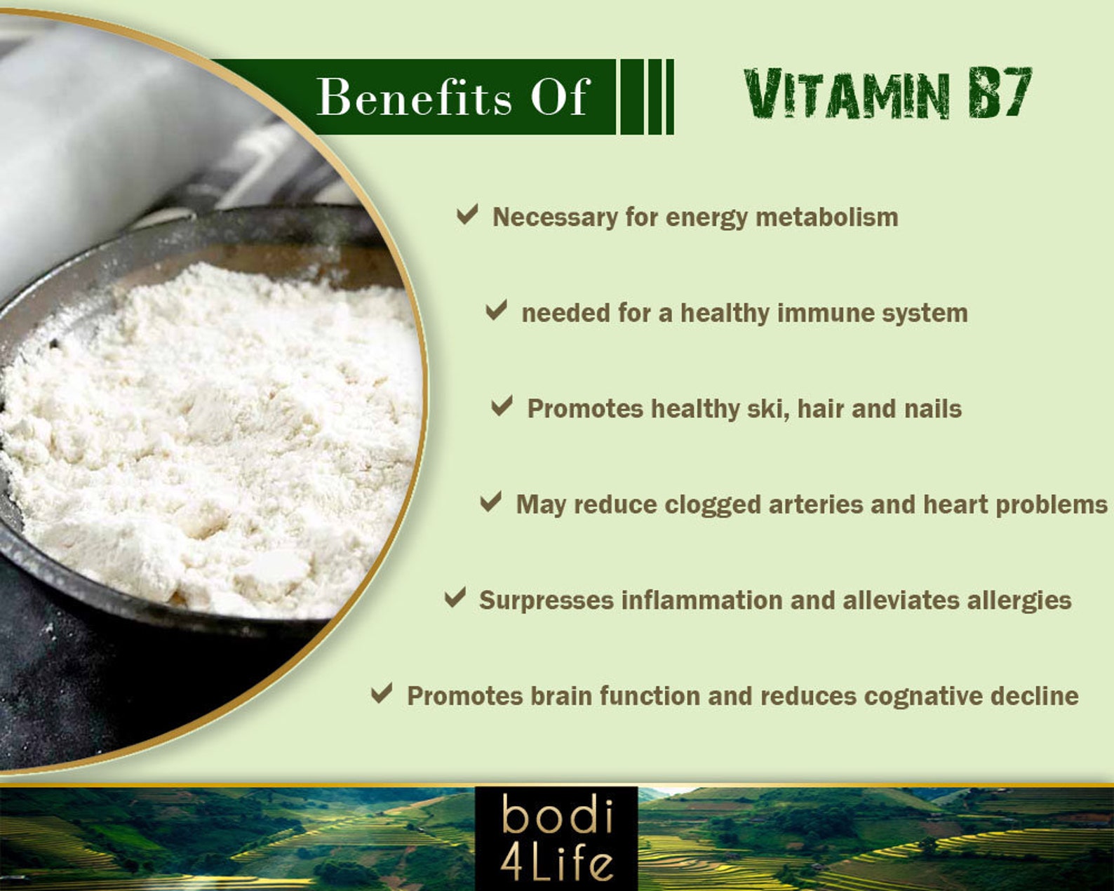 Vitamin B7 Biotin 1 Powder Purity Lab Grade 2oz 16oz Etsy