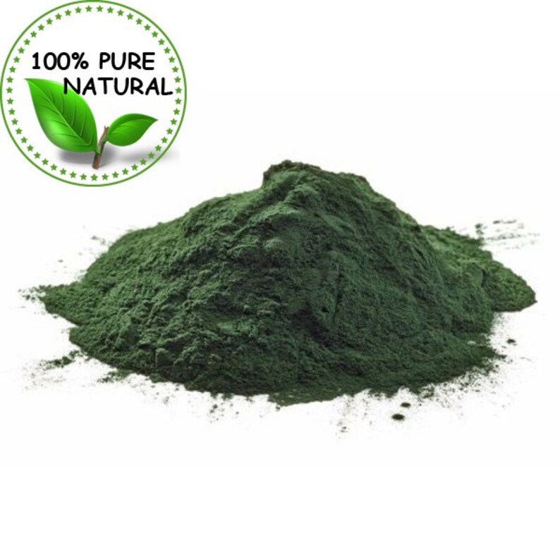 Spirulina Algae Powder 100 Pure Natural Chemical Free 4oz Etsy