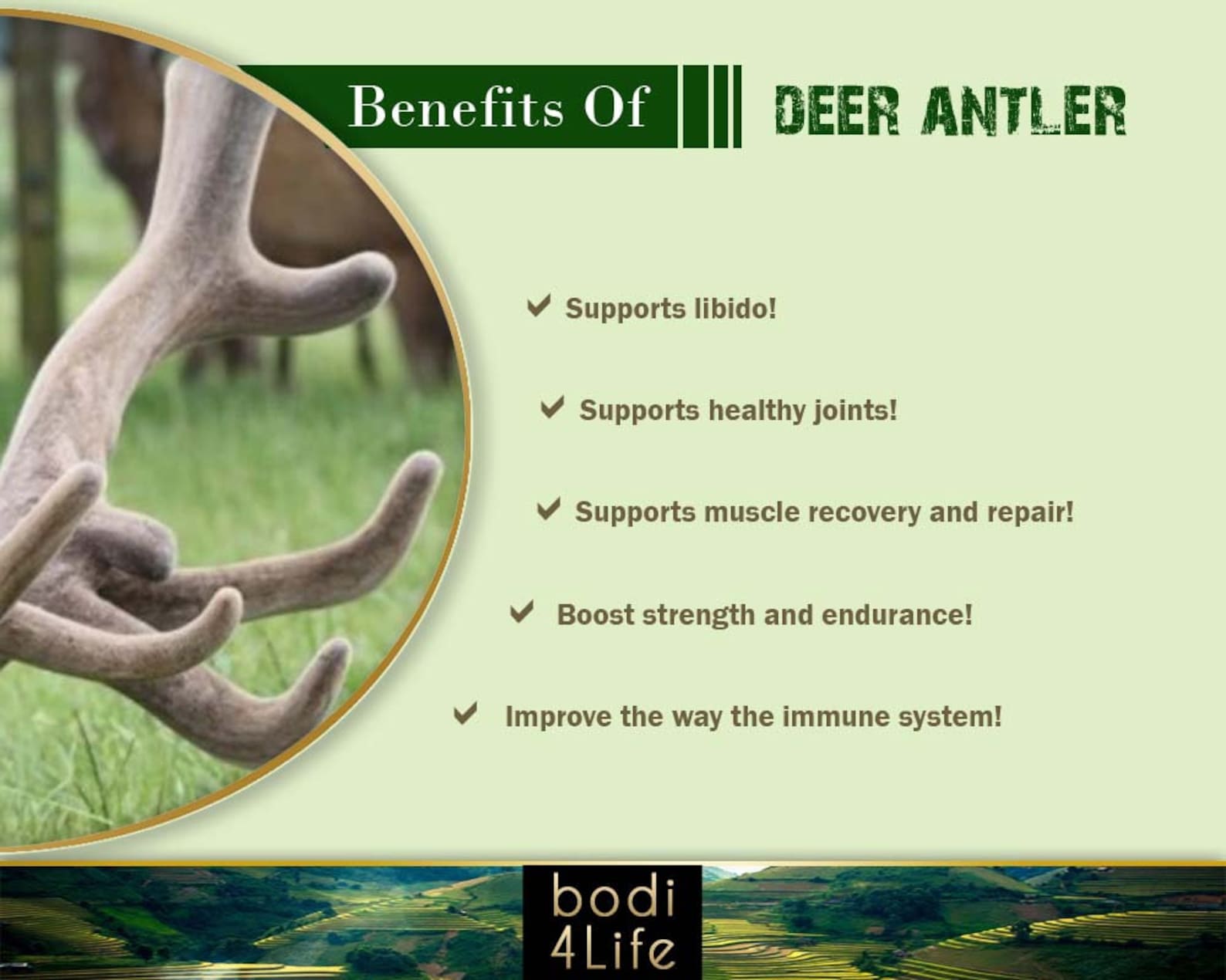 Deer Antler Velvet Extract Powder Chemical Free 2oz Etsy