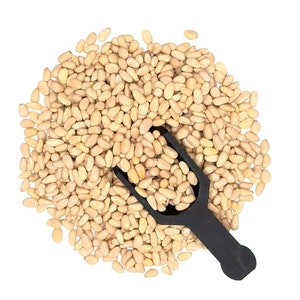 Pine Nuts Raw | 4oz to 5lb | 100% Pure Natural Hand Crafted