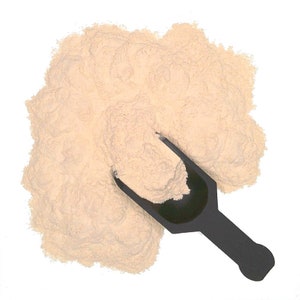 Garlic Fine Powder | 6oz to 5lb | 100% Pure Natural Hand Crafted