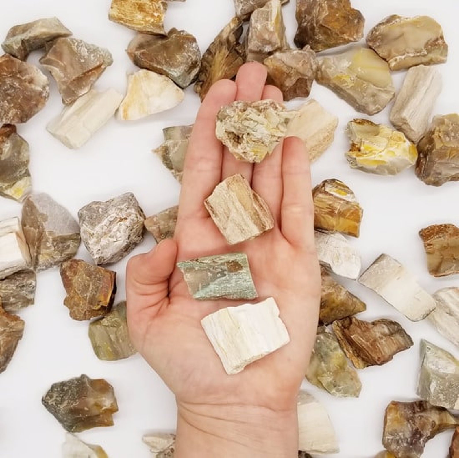 Petrified Wood Crystals 1 Stone 8oz or 16oz Bulk Natural Raw Etsy