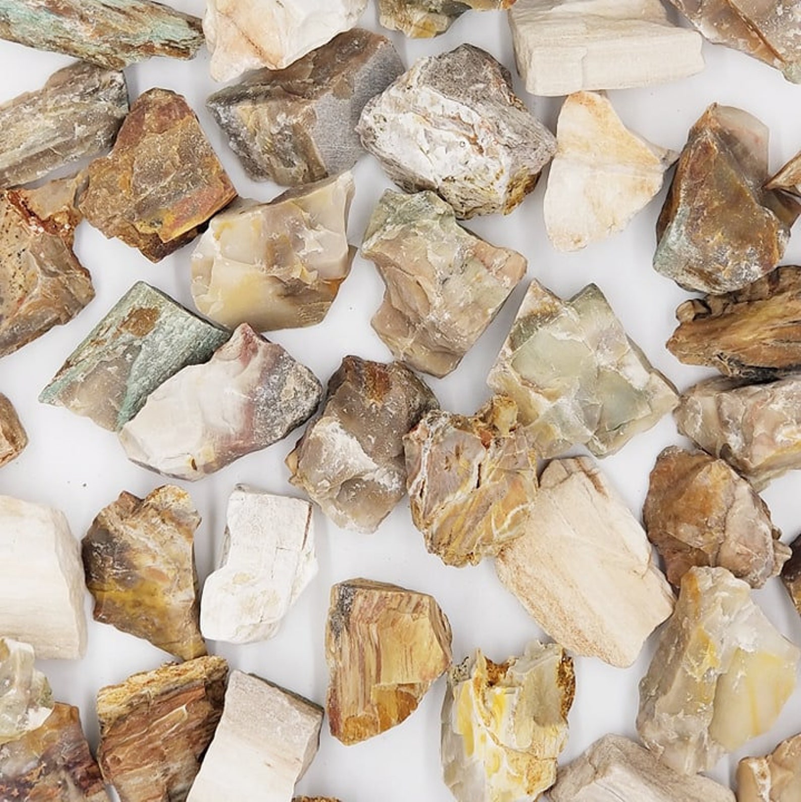 Petrified Wood Crystals 1 Stone 8oz or 16oz Bulk Natural Raw Etsy