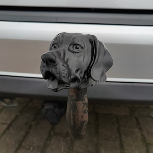 Happy Labrador Trailer Tow hook ball / hitch cover