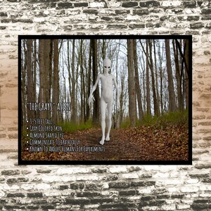 Gray Alien Poster, Scary Art Print, UFO Lover gift, Cryptid Cryptozoology Informational Poster, Gothic Wall Art, Area 51 Alien Birthday Gift