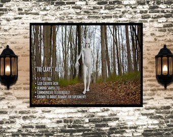 Gray Alien Poster | Ufology Informational Wall Art| UFO Lover gift | Area 51 Science Fiction Decor