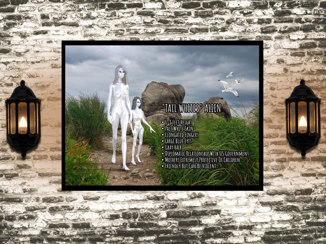 Tall White Aliens Poster | Space Alien Ufology Informational