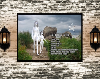 Tall White Aliens Poster | Space Alien Ufology Informational Poster| Area 51 UFO Lover Gift