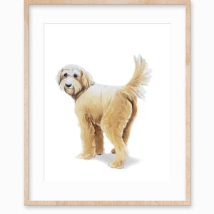 Goldendoodle Butt
