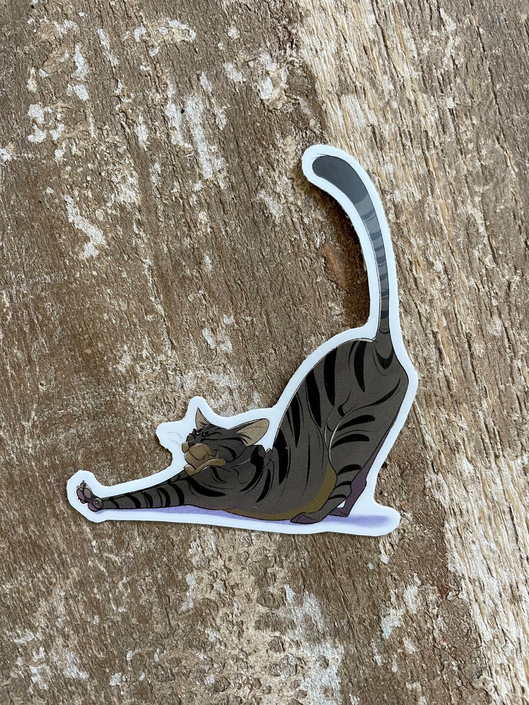 Stretchy Cat Sticker - Etsy
