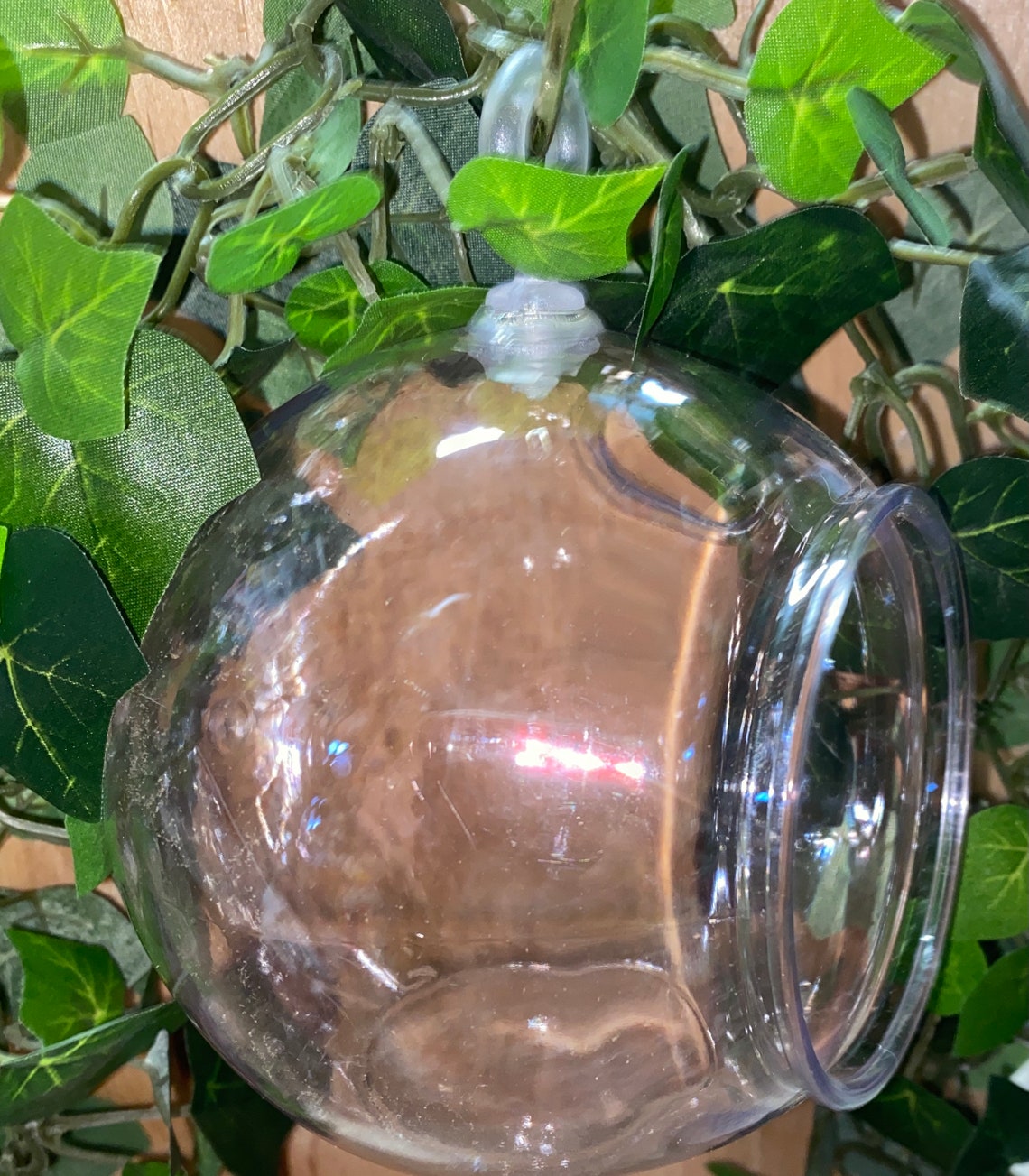 3 Clear Plastic Terrarium Globes 4.5 In. Planters. Etsy