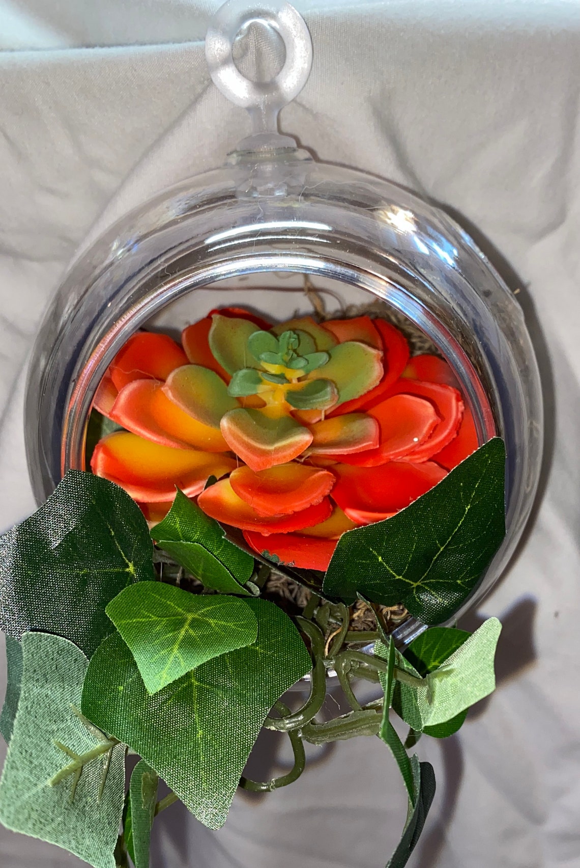 3 Clear Plastic Terrarium Globes 4.5 In. Planters. Etsy