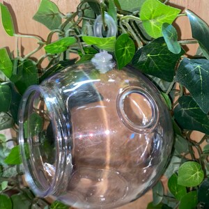 globes terrarium