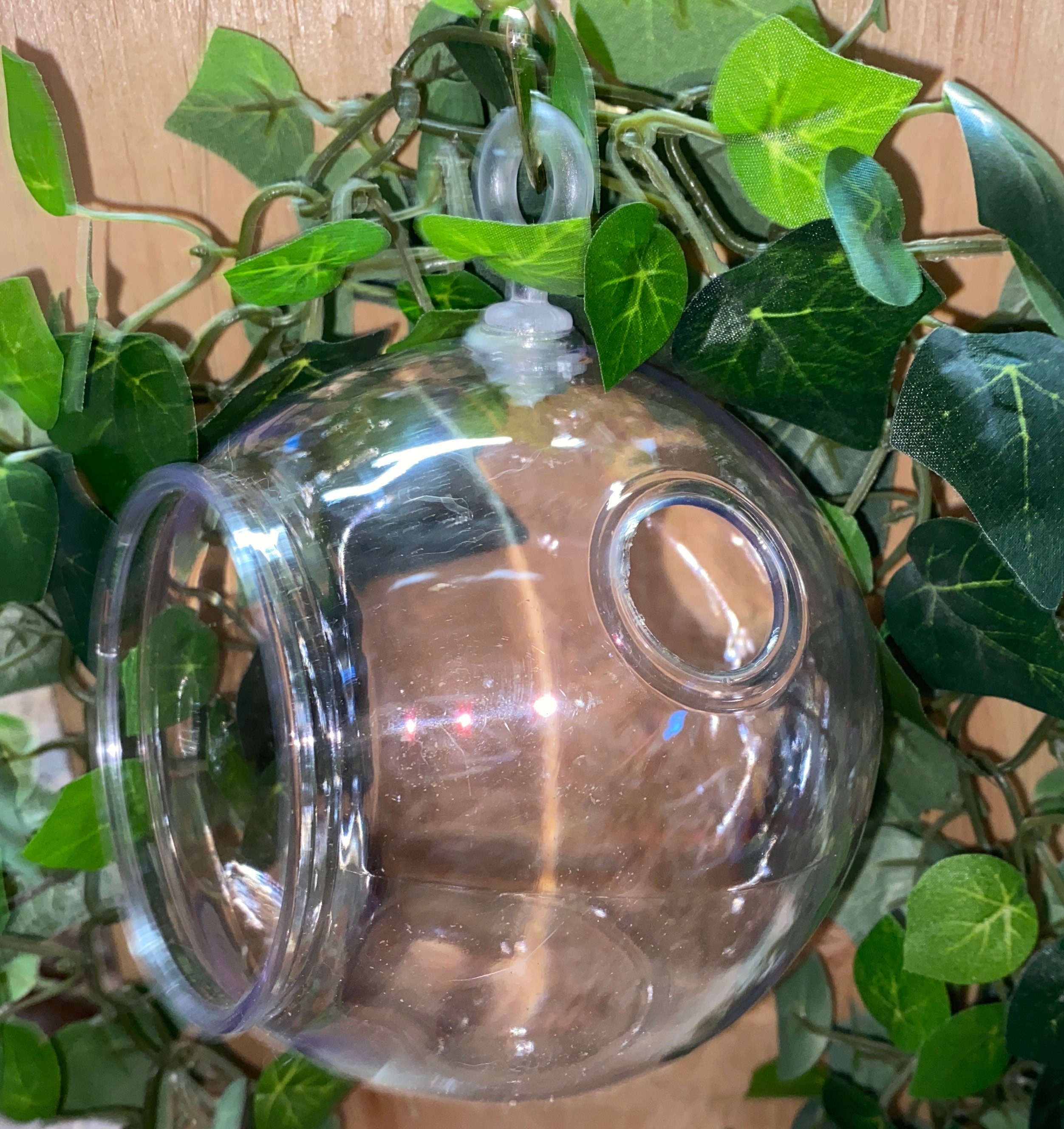 Plastic Terrarium for sale Only 2 left at 65