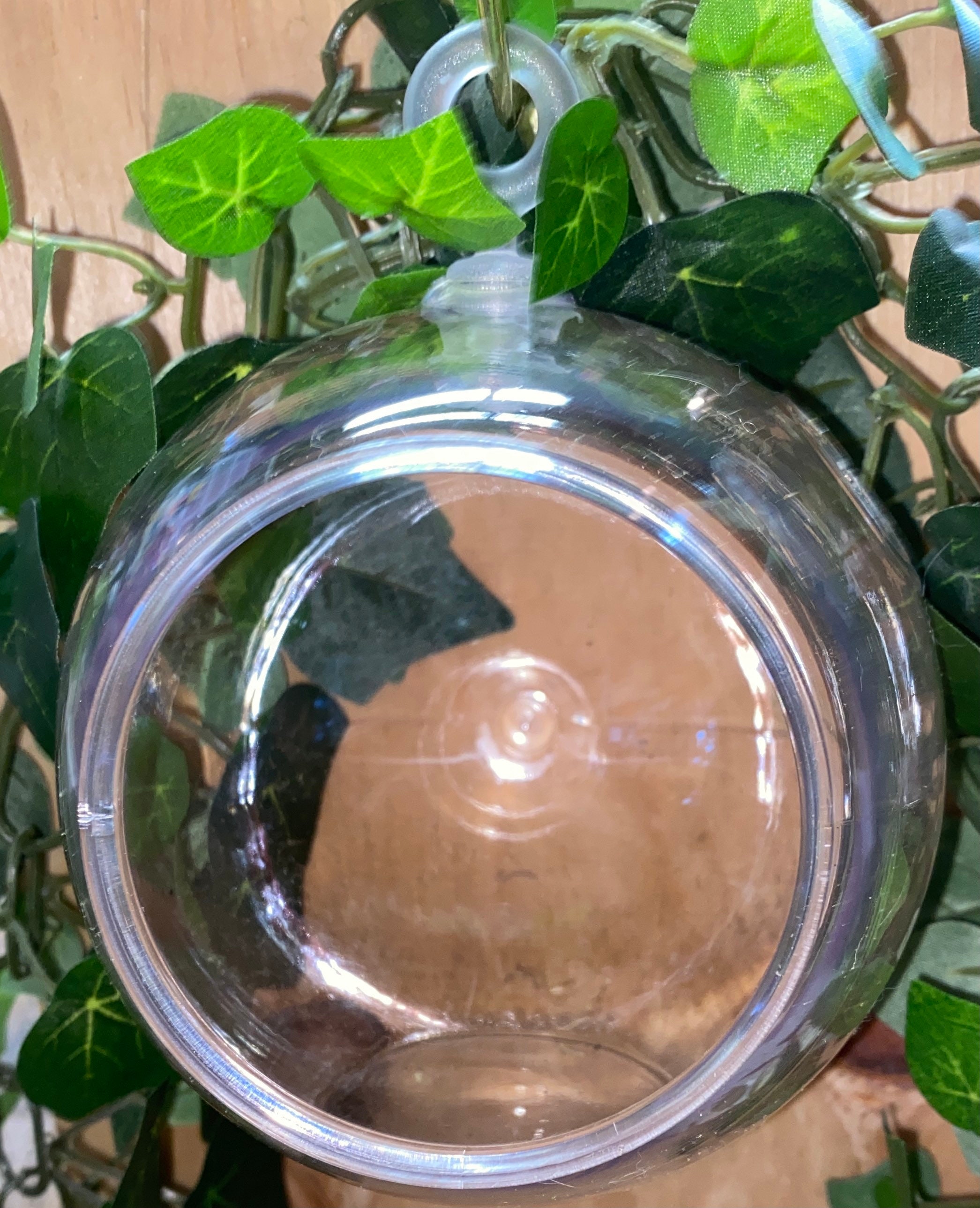 3 Clear Plastic Terrarium Globes 4.5 in. Planters. Etsy