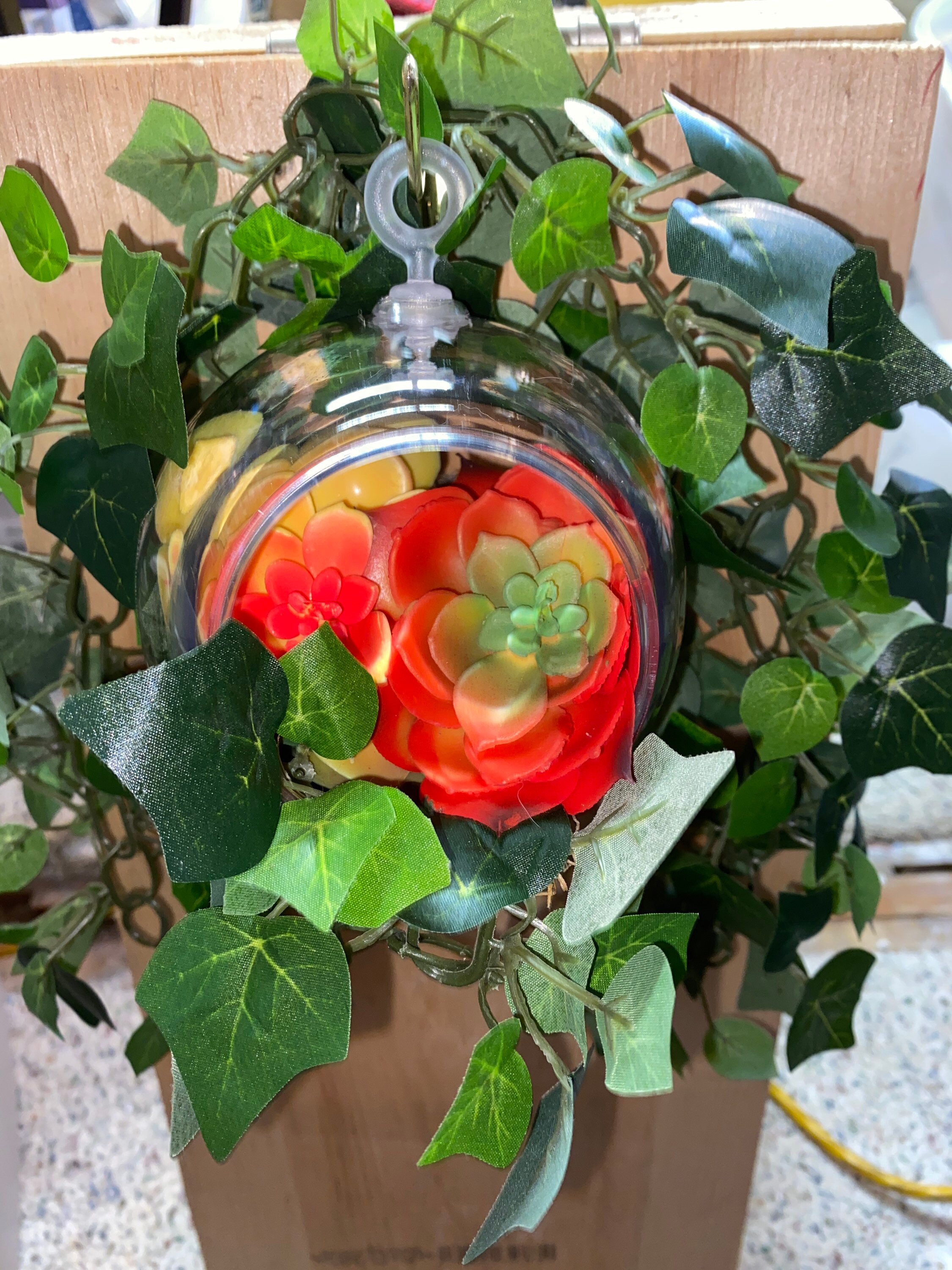 3 Clear Plastic Terrarium Globes 4.5 in. Planters. Etsy