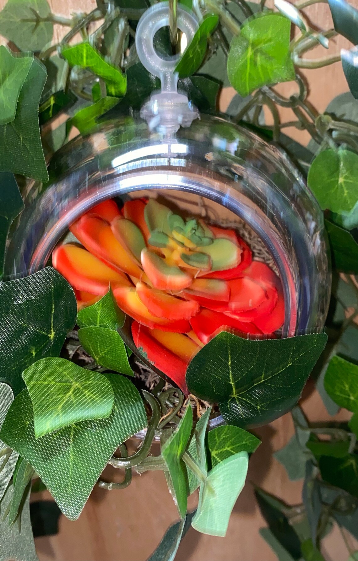 3 Clear Plastic Terrarium Globes 4.5 In. Planters. Etsy