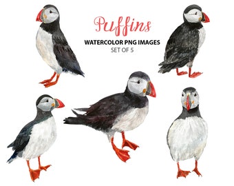 Papageientaucher Clipart Etsy