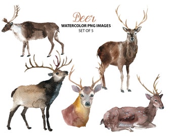 Cute deer clipart - Watercolor animal clip art - Nature watercolor illustration