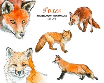 Watercolor fox clipart - Beautiful animal clip art - Cute nature watercolor illustration