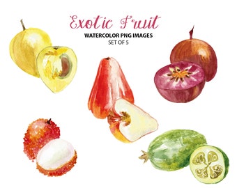 Cute exotic fruit clipart - Watercolor food clip art - Summer clipart