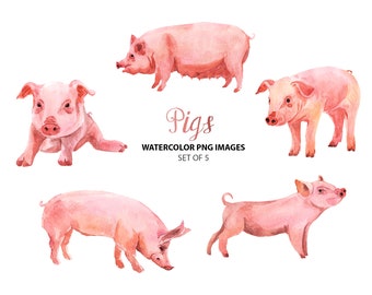 Farm clipart - Cute pigs illustrations - Watercolor animal clip art