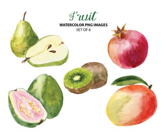 Exotic fruit clipart - Watercolor food clip art - Summer clipart