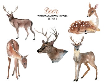 Cute deer clipart - Watercolor animal clip art - Nature watercolor illustration