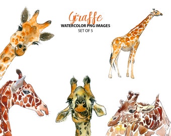 Watercolor giraffes clipart - Safari nursery clipart - Cute animal illustrations
