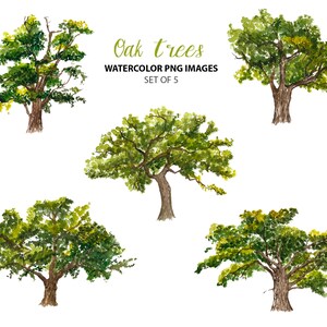 Watercolor Oak Trees Clipart Nature Clip Art Forest Clipart - Etsy UK