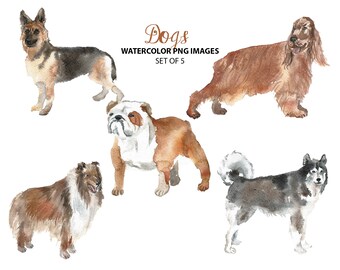 Cute dog clipart - Watercolor animal clip art - Pets watercolor illustration