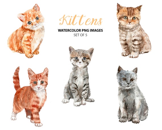 Download Watercolor kitten clipart Cat clip art Animal clip art | Etsy