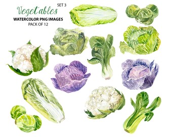 Food clip art - Veggies clipart - Watercolor kitchen illustration