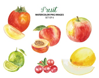 Summer fruit clipart - Watercolor food clip art - Summer clipart