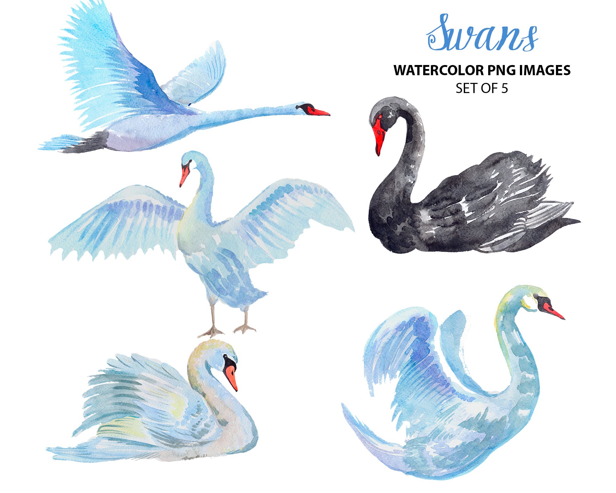 Download Watercolor Swans Clipart Bird Illustration Animal Clip Art Etsy