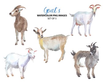 Goat Horn Clipart Etsy