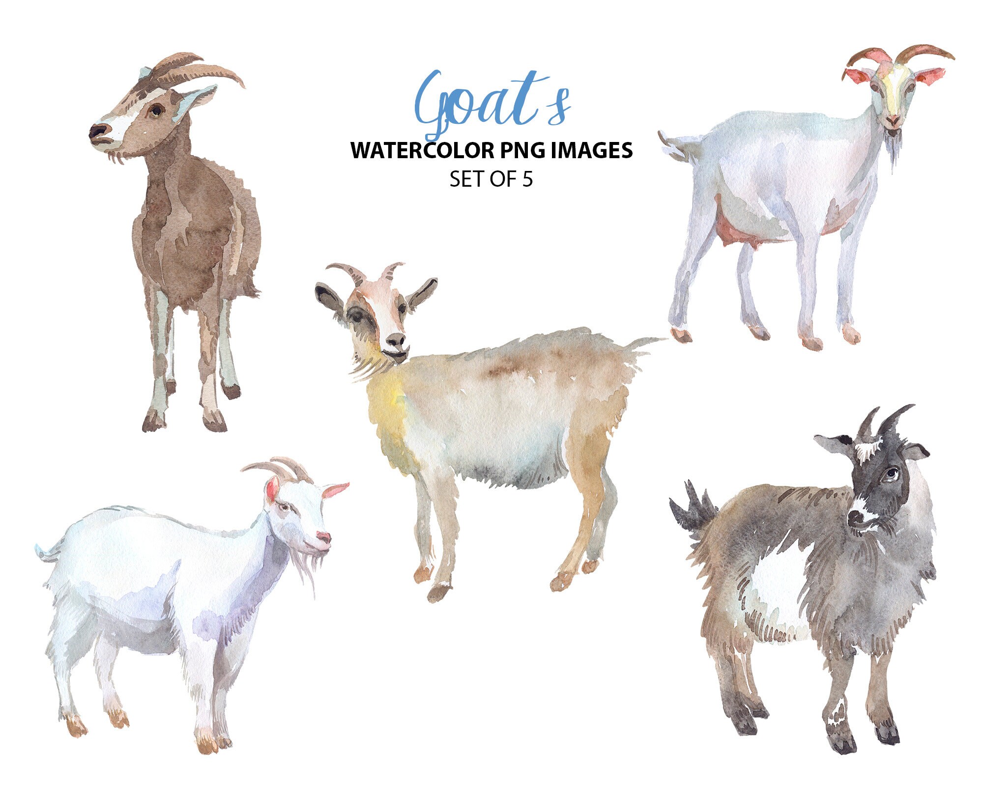 Susse Ziege Bison Clipart Aquarell Natur Clipart Tier Etsy