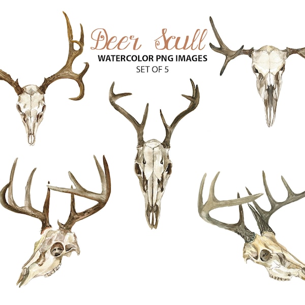 Deer skull clipart - Watercolor animal clip art - Tribal watercolor illustration