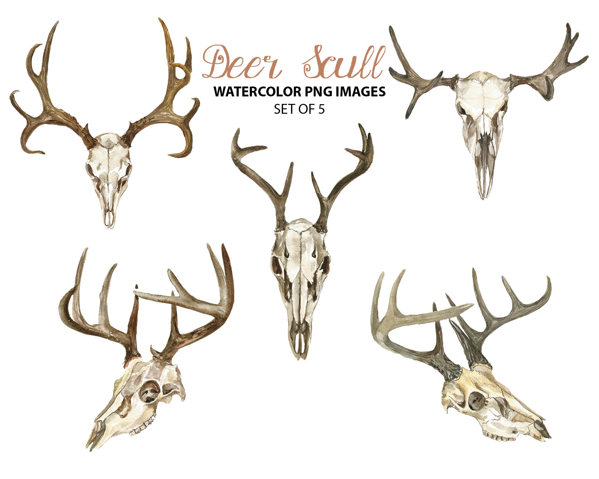 Deer Skull Tribal Drawing