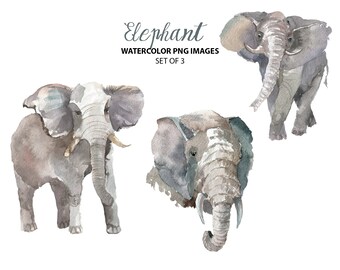 Watercolor elephant clipart - Safari nursery clipart - Animal illustrations