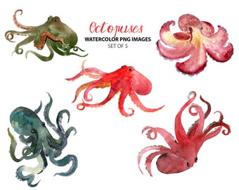 Watercolor octopuses clipart - Nautical images - Marine clip art