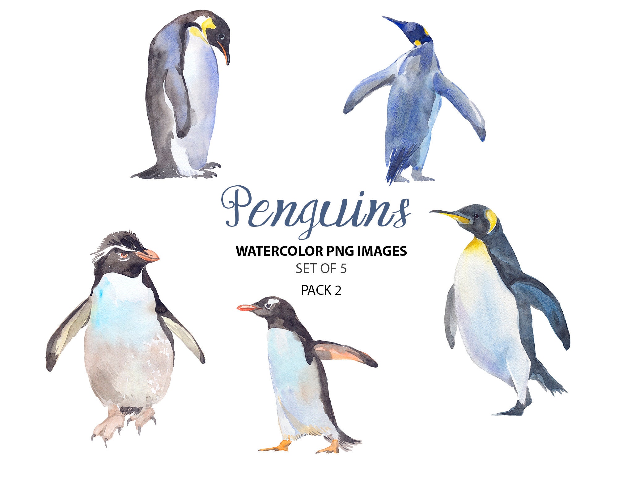 Download Arctic Clipart Watercolor Penguins Clip Art Cute Bird Etsy