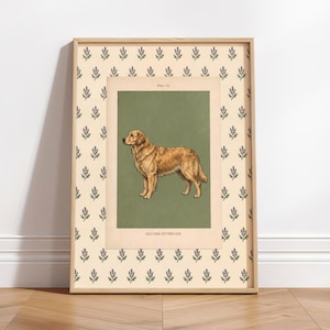 Puede incluir: Lámina enmarcada con una ilustración de un Golden Retriever. El perro se muestra de perfil sobre un fondo verde, con la etiqueta "Plate 42". El marco es de madera clara con un patrón floral repetido.